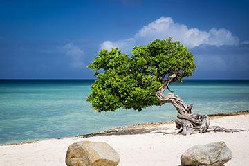 奥拉涅斯塔德港口查询_oranjestad,aruba港口代码_阿鲁巴奥拉涅斯塔德港口代码
