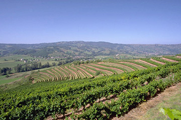 瓦利斯港口查询_wallis港口代码_瓦利斯和富图纳群岛瓦利斯港口代码